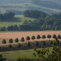 Die Natur rund um den Landgasthof Dittersdorfer Hoehe.