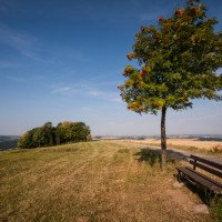 Die Natur rund um den Landgasthof Dittersdorfer Hoehe.