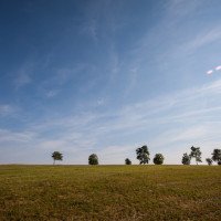 Die Natur rund um den Landgasthof Dittersdorfer Hoehe.