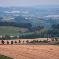 Die Natur rund um den Landgasthof Dittersdorfer Hoehe.
