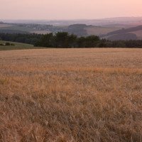 Die Natur rund um den Landgasthof Dittersdorfer Hoehe.