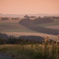 Die Natur rund um den Landgasthof Dittersdorfer Hoehe.