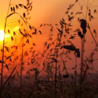Die Natur rund um den Landgasthof Dittersdorfer Hoehe.