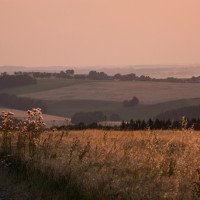 Die Natur rund um den Landgasthof Dittersdorfer Hoehe.